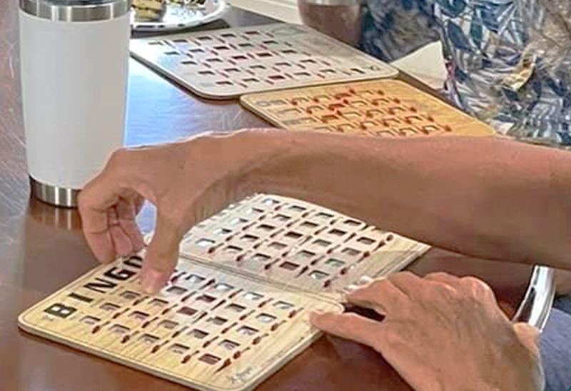 BINGO CLOSE-UP