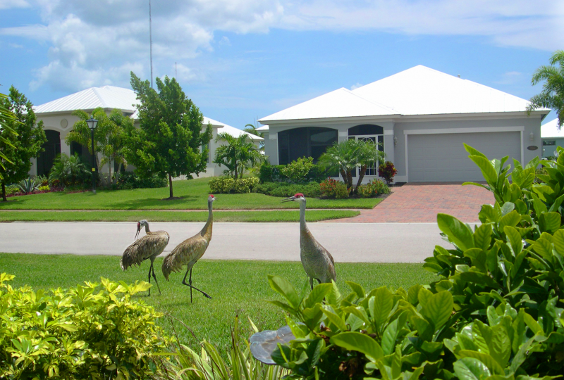 PAIR SAND HILLS LAWN copy